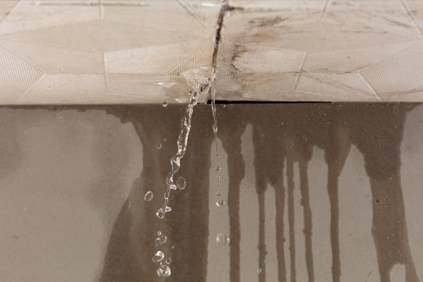 Professional Water Extraction technician working in Visalia, CA